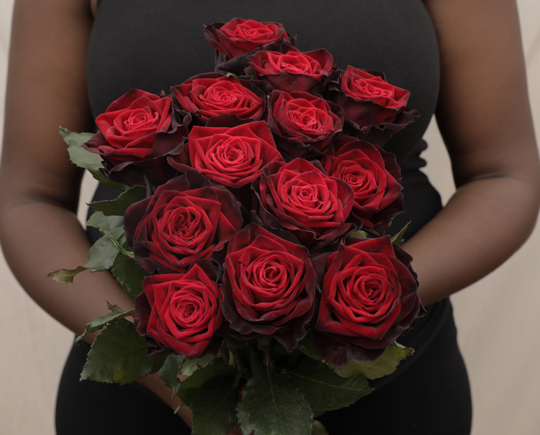 ROSE BLACK GOLD 40